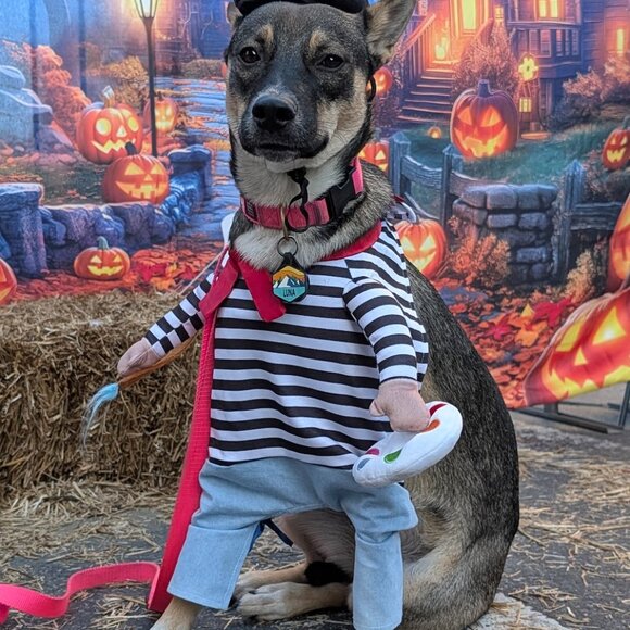 Frisco Front Walking French Artist Dog & Cat Costume, X-Large - Picture 4 of 10